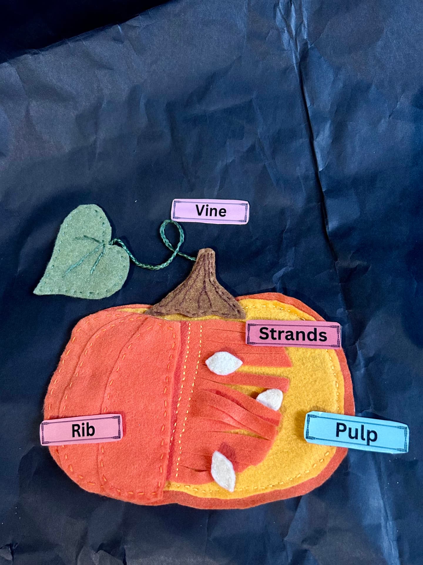 Anatomy of a Pumpkin