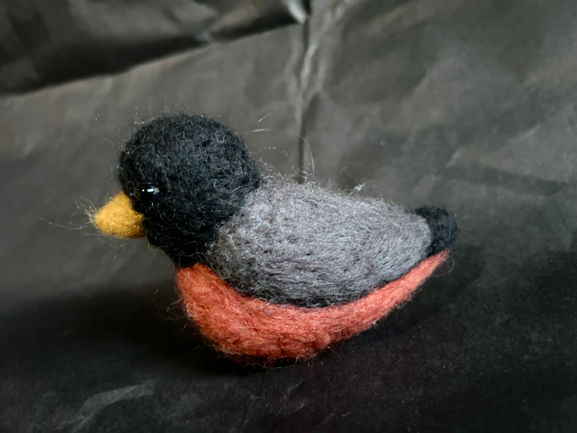 Robin Red Breast