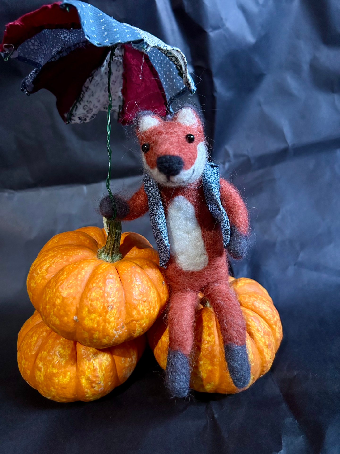 Mr. Fox In The Rain